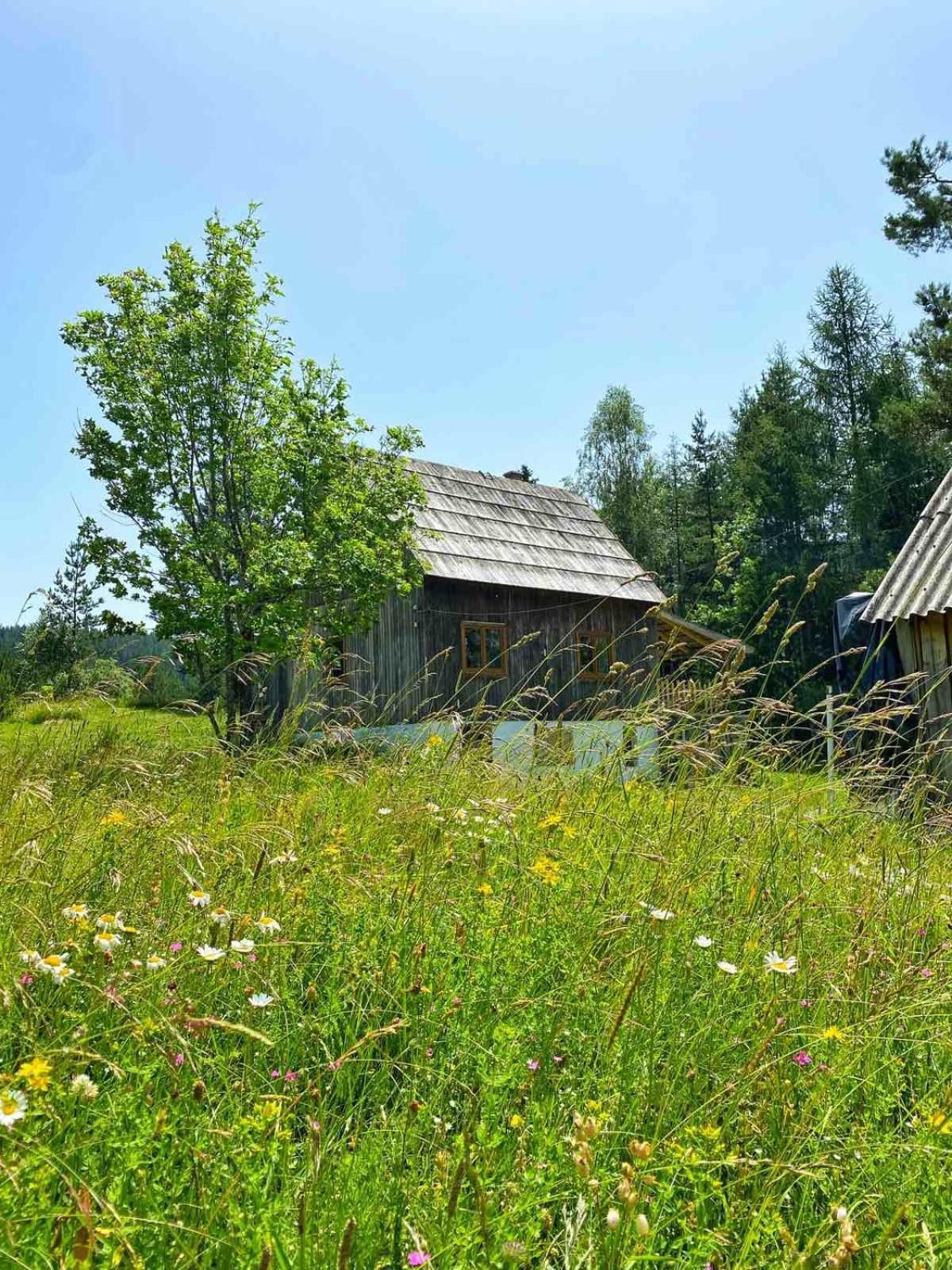 Vukov Konak - Wolf'S Lodge Žabljak Exterior foto