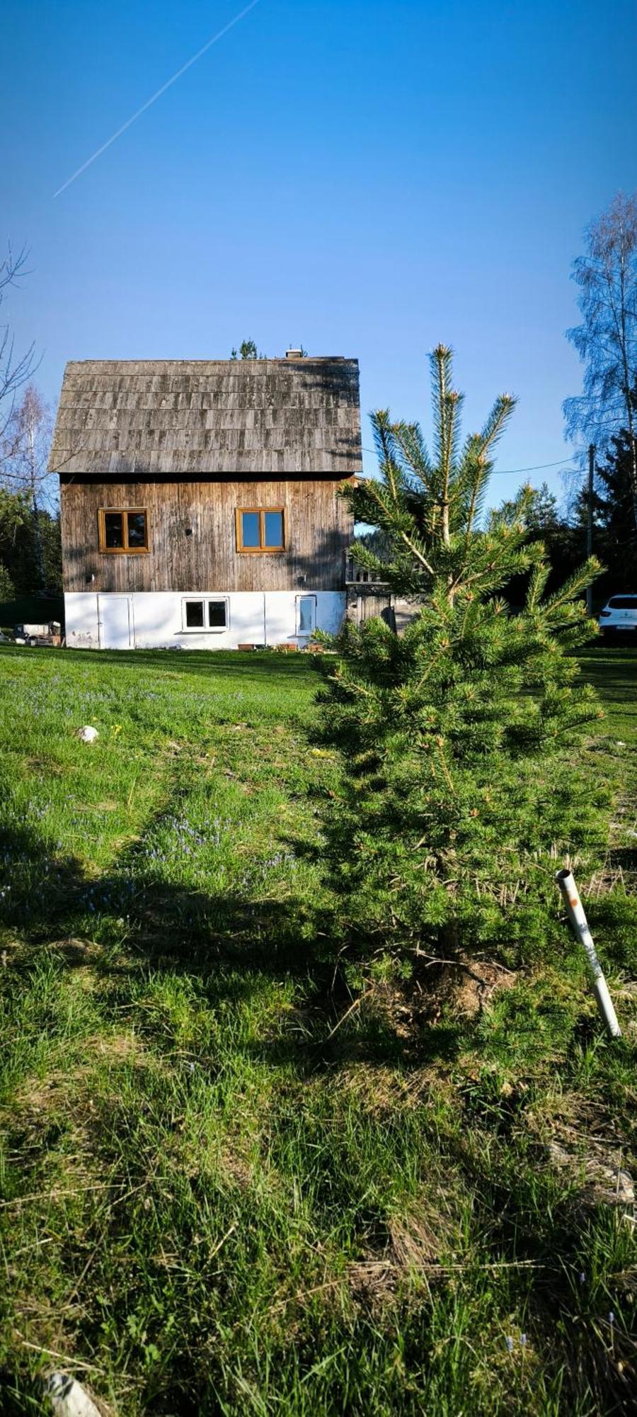 Vukov Konak - Wolf'S Lodge Žabljak Exterior foto
